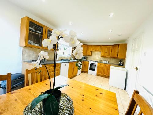 Tillicoultry Jupiter Apartment - Scotland Holiday Let - Gartmorn Dam