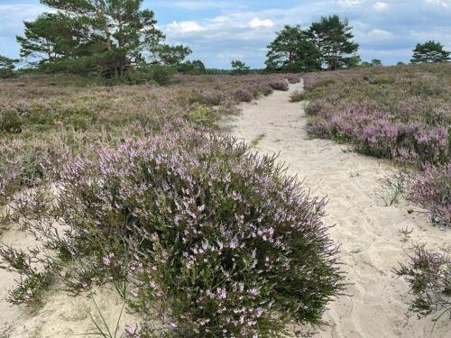 周邊環境, Gemütliche Ferienwohnung in Neu Kaliß (Gemutliche Ferienwohnung in Neu Kaliß) in 德米茨