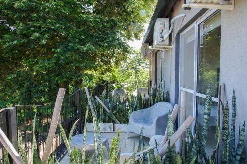 ISONDU Suites & Breakfast in Puerto Iguazu