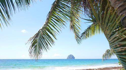 ทัศนียภาพ, Jasmin - Appartement face plage Diamant in เลอ ยามัน