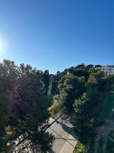 Hotel Gega - image 14