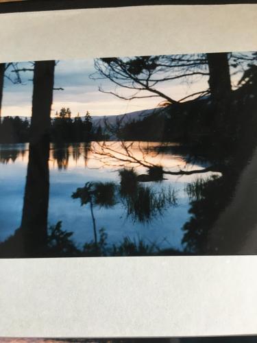 Rønlund Hyttepark/midt-i-garde Rønlund Hyttepark/midt-i-garde