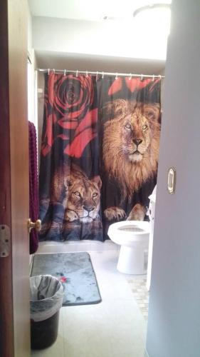 Irises House - private room in home in Kissimmee, USA