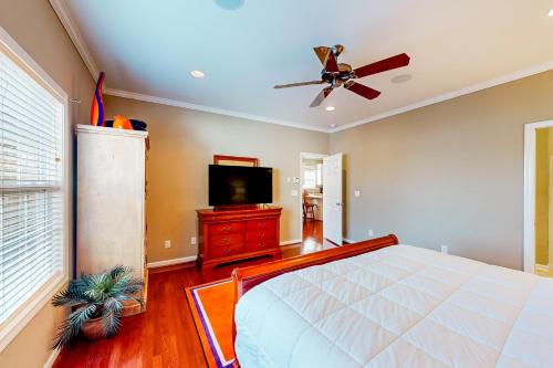 The Tigers Oasis The Tigers Oasis