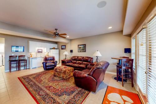 The Tigers Oasis The Tigers Oasis