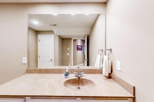 The Tigers Oasis The Tigers Oasis