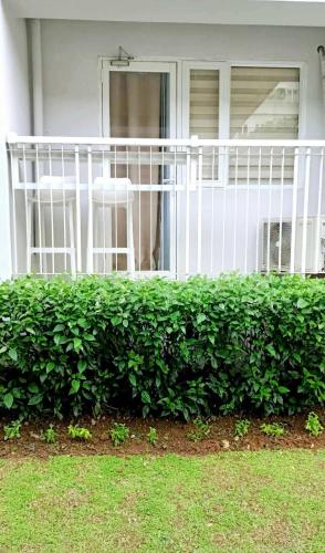 Trees Residence in Quezon City with balcony.