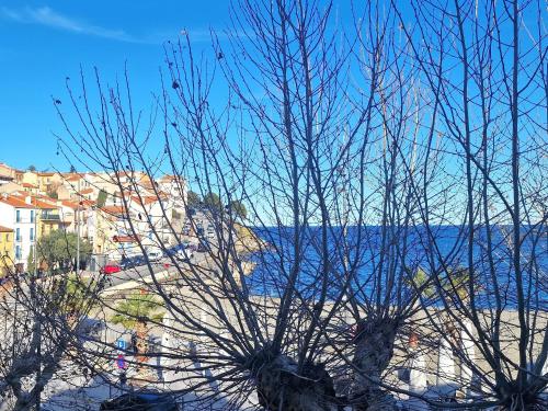 BANYULS, T3 climatisé à 50m de la plage, en centre-ville - FR-1-309-9, Banyuls-sur-Mer (photo 2)