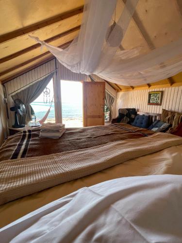 Live the bedouinlife in Нувейба