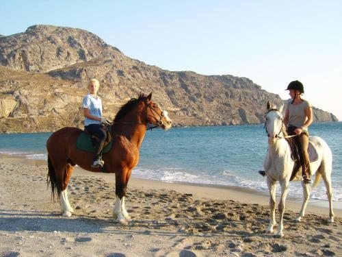 Alianthos Beach Hotel - image 12