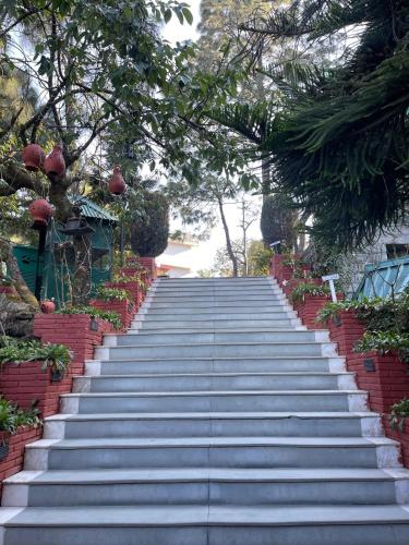 Kasauli Castle Resort – Kasauli, PA