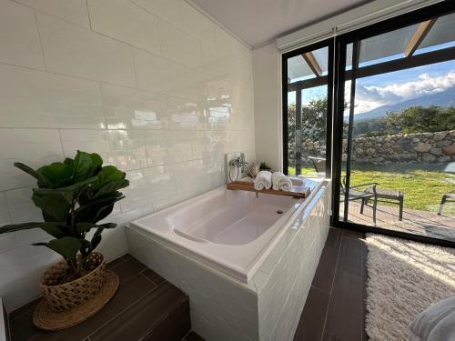 Suite romántica panorámica (Suite romantica panoramica) in Palmira