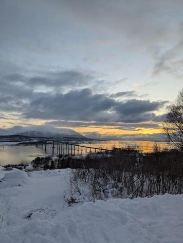 Koselig leilighet nær bussholdeplass og natur. in Kvaloysletta