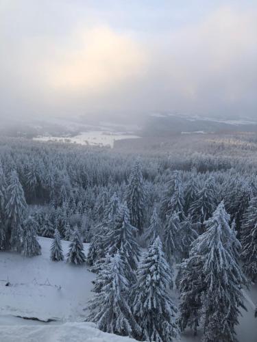 Klidné ubytování v Orlických horách (Klidne ubytovani v Orlickych horach) in Orlicky