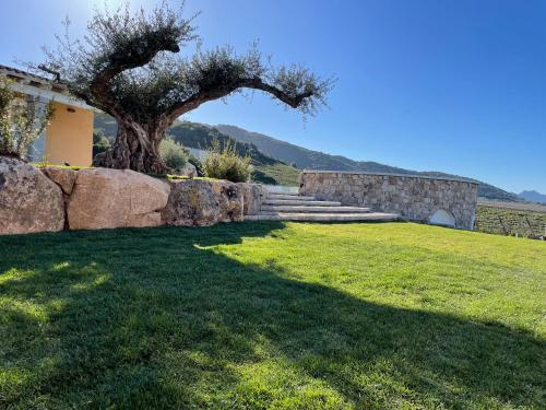 Villa Agostina in Golfo Aranci