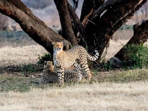 . Wild and Water Dinokeng