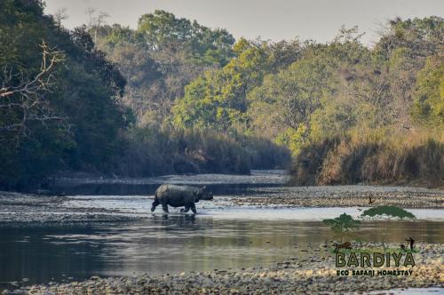 Surrounding environment, Bardiya Eco Safary Homestay in Thakudwara
