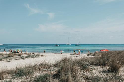 Hotel Xaloc Playa - main image