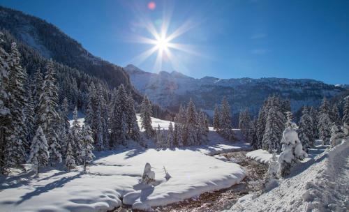 Alpin Life Resort Lürzerhof