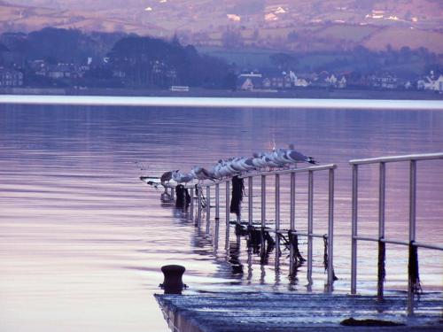 The Oystercatcher Lodge