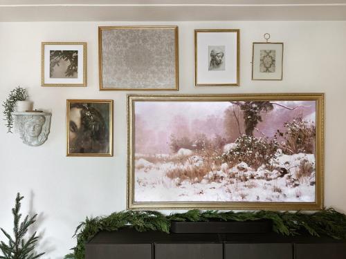 Mile High Organic Cottage in Arvada, USA
