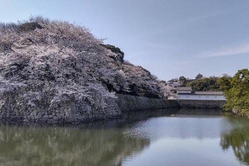 Villa Hikone Castle