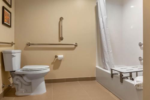 Comfort Inn & Suites - image 2