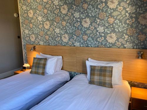 The Oxnoble - image 5