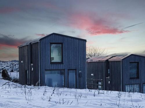 Scandi Micro House