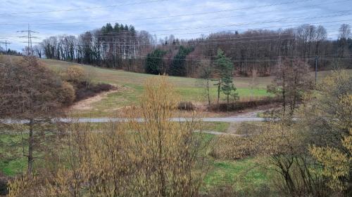 Surrounding environment, Wohnen auf Zeit - perfekt fur Grenzganger, Wochenend-Heimkehrer und Berufsreisende in Schworstadt