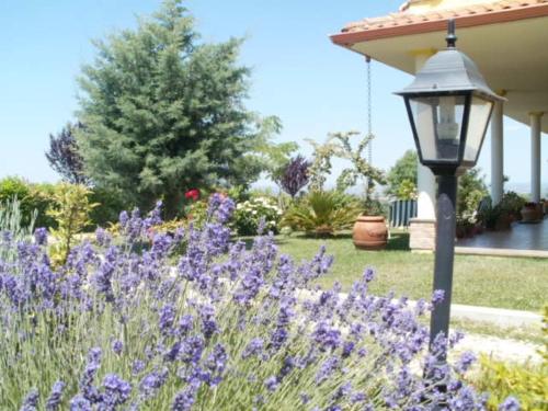 Agriturismo Le Quattro Stagioni — Photo 3