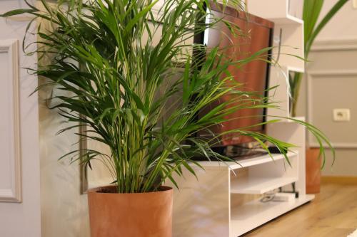 Johan's Apartment, Tirana (photo 7)