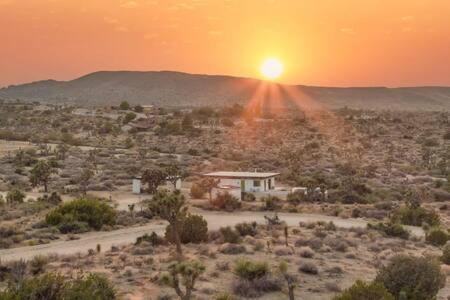 Desert Diamond- Joshua Tree Cowboy Pool and Spa in Yucca Valley, USA