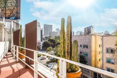 Upscale Polanco, 24 7 Security, Walk to Shopping! photo 3