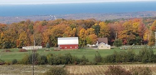 The Stable at Windmill Ridge Farm