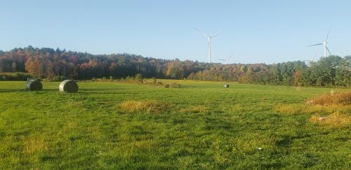 The Stable at Windmill Ridge Farm