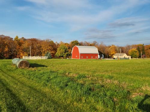 The Stable at Windmill Ridge Farm