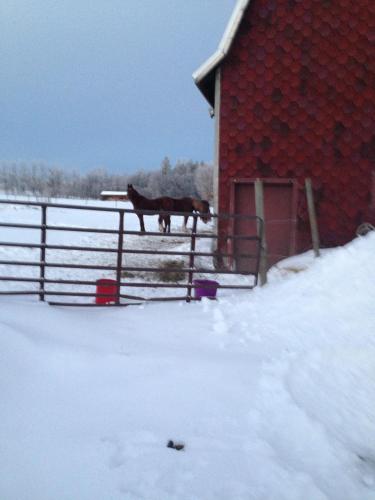 The Stable at Windmill Ridge Farm