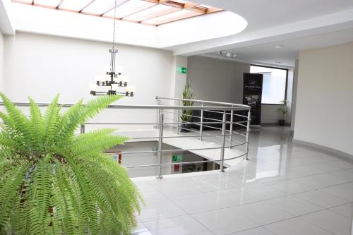 528597902 Hotel San Agustin Plaza