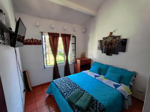Casa de Chavela in Villa De Leyva