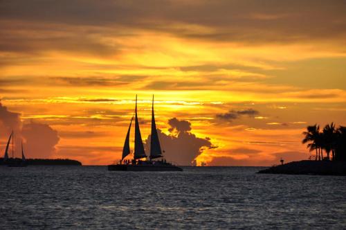 Photo - Bahia Mar Fort Lauderdale Beach - DoubleTree by Hilton