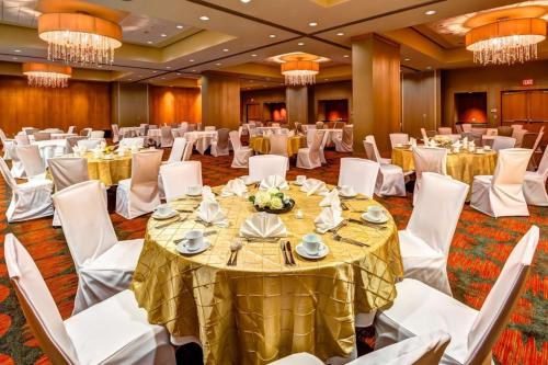 Embassy Suites by Hilton Houston-Energy Corridor - image 9