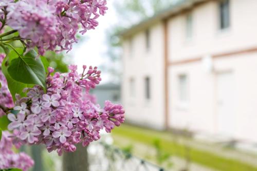 Herthaquelle Wohnung 1 "Studio H" Herthaquelle Wohnung 1 "Studio H"