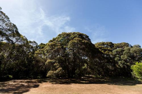 Turner Brook, Augusta (foto 5)