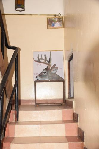 Cingaki Hotel in Miritini
