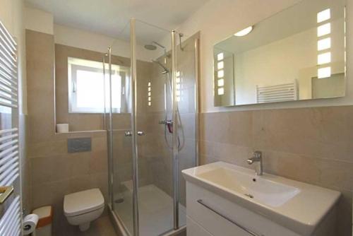 Strandeule Strandeule