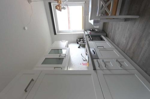 Strandeule Strandeule