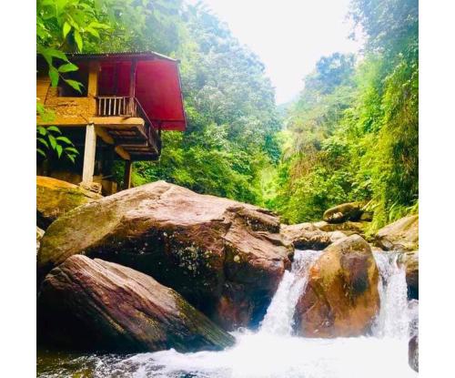전망, Cave N Falls Nature Resort & Water Park  in 키툴가라