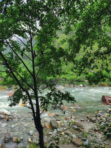 Thehraav By The River - Mudhouse Odyssey, Tirthan Valley, Banjār (foto 5)