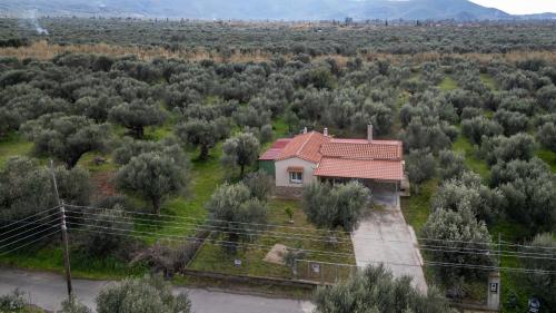 Olive Grove Getaway